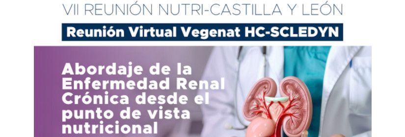 programa-vii-reunion-nutri-castilla-y-leon-2024